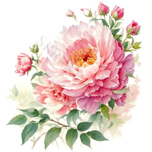 Pink Peonies Clipart - 10 High Quality PNGs, Digital Download, Great For Card Making, Mixed Media, Digital Paper Craft