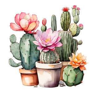 Clipart de cactus en pot - 12 PNG de haute qualité, planificateur numérique, journalisation indésirable, aquarelle Clipart, téléchargement numérique