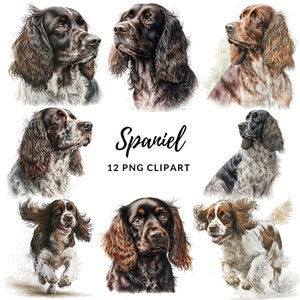 May include: A set of 12 digital illustrations of Spaniel dogs in various poses. The illustrations are in a watercolor style and feature different colors and patterns.