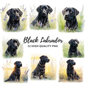 Black Labrador Clipart - 12 PNG's van hoge kwaliteit, digitale download, kaart maken, illustraties, digitale papierambachten