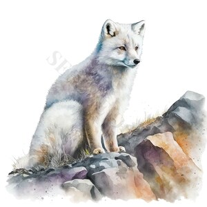 Op de afbeelding: Een witte poolvos die op een rotsachtige klif zit. De vos heeft een pluche staart en kijkt naar rechts. De rotsen zijn een mix van bruin, grijs en paars.