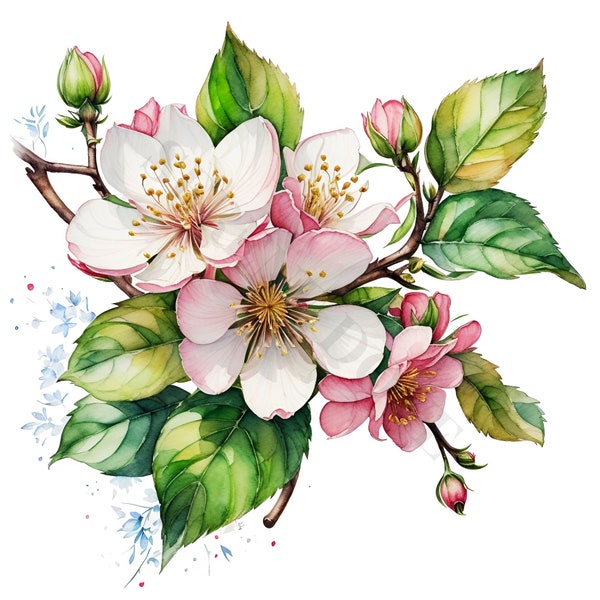 Apple Blossom Clipart - 12 High Quality PNGs, Digital Download, Card Making, Clipart, Digital Paper Craft, Junk Journal