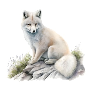 Arctic Fox Clipart - 12 PNG's van hoge kwaliteit, Memory Book, Junk Journals, Plakboeken, Digitale Planners, Commercieel Gebruik, Digitale Download afbeelding 7