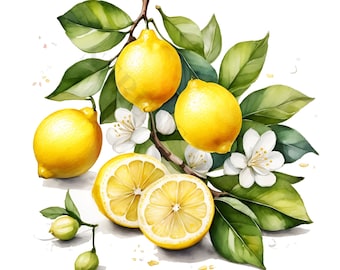 Lemon Clipart - 12 High Quality PNGs - Digital Planners, Junk Journaling, Watercolor, Wall Art, Commercial Use, Digital Download