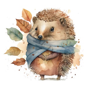 Winter Hedgehog Clipart - 12 PNG's van hoge kwaliteit, digitale Planner, Junk Journal, Scrapbook, Memory Book, Commercieel Gebruik