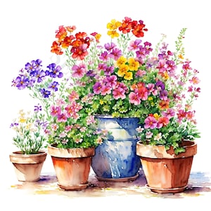 Imágenes Prediseñadas de flores de verano en macetas - 12 PNG de alta calidad, libro de memoria, diarios basura, álbumes de recortes, planificadores digitales, descarga digital