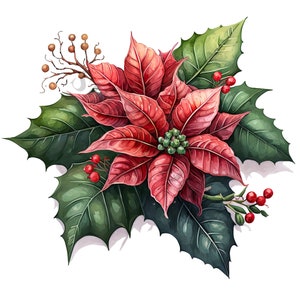 Poinsettia Clipart - 12 PNG di alta qualità, Creazione di carta digitale, Pianificazione digitale, Abbigliamento, Acquerello, Download digitale, Junk Journaling