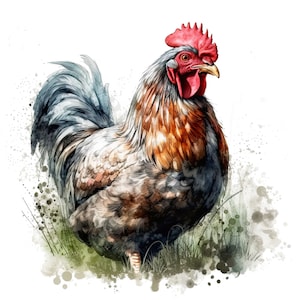 Clipart poulet dans le pré - 12 PNG de haute qualité, livres de souvenirs, journaux indésirables, scrapbooking, agendas numériques, usage commercial, numérique
