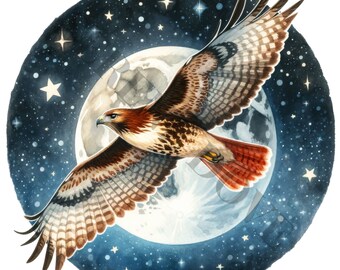 Red-Tailed Hawk Clipart - 14 High Quality PNGs, Memory Book, Junk Journals, Scrapbooks, Digital Planners, Commercial Use, Sublimation
