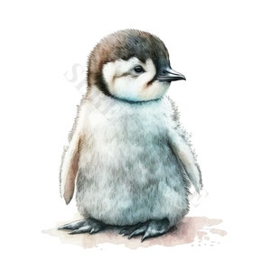 Baby Penguin Clipart - 12 PNG's van hoge kwaliteit, Memory Book, Junk Journals, Plakboeken, Digitale Planners, Commercieel Gebruik, Digitale Download