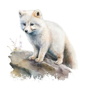 Arctic Fox Clipart - 12 PNG's van hoge kwaliteit, Memory Book, Junk Journals, Plakboeken, Digitale Planners, Commercieel Gebruik, Digitale Download afbeelding 10