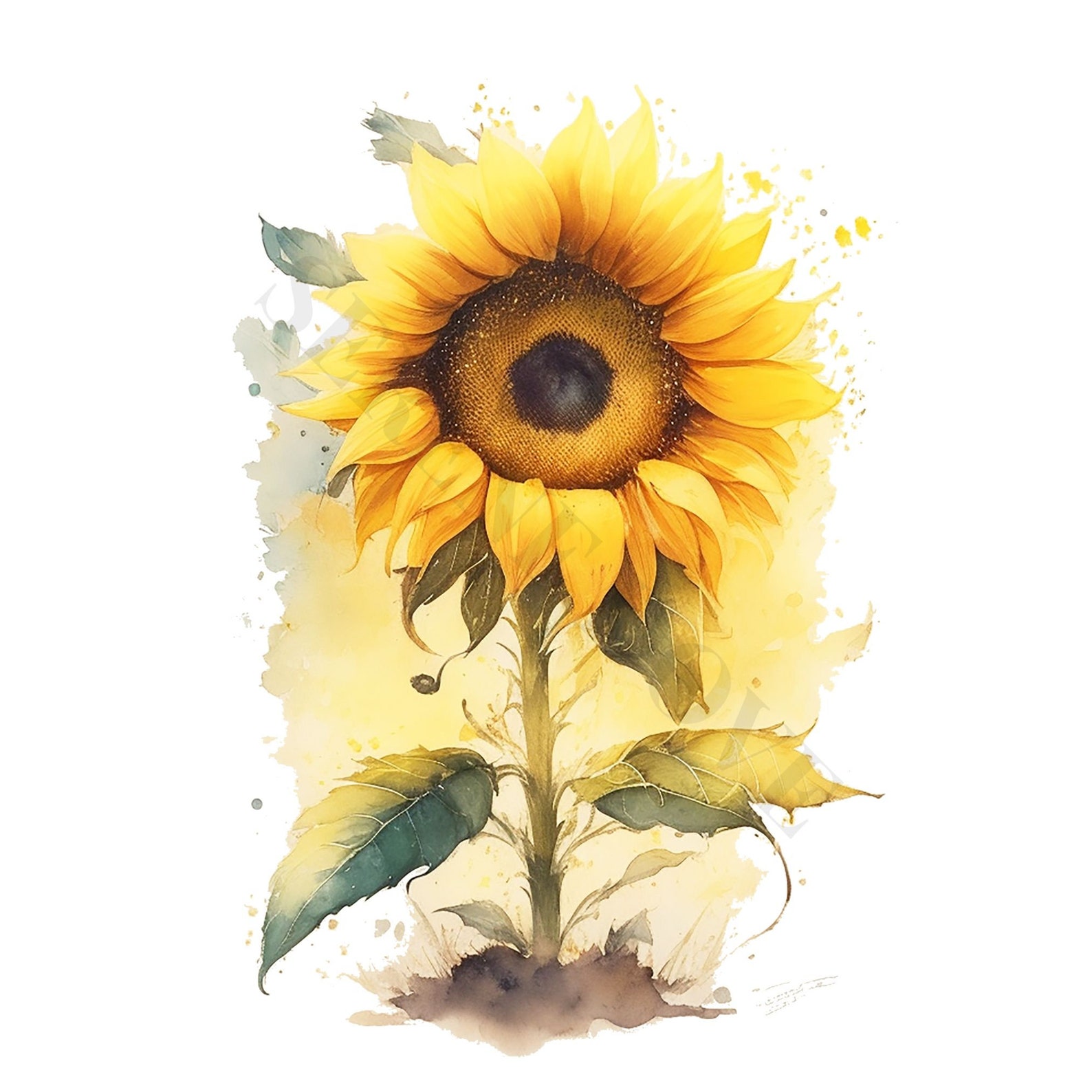 Sunflowers Clipart - Fall Sunflower Floral Bouquets in Watercolor PNG ...