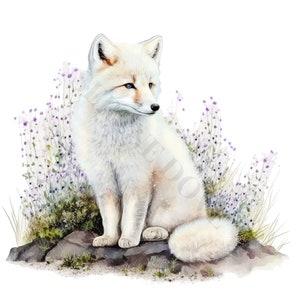 Arctic Fox Clipart - 12 PNG's van hoge kwaliteit, Memory Book, Junk Journals, Plakboeken, Digitale Planners, Commercieel Gebruik, Digitale Download afbeelding 4