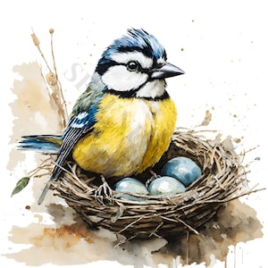 Bluetit Clipart - 12 PNG de haute qualité, Art de la pépinière, Téléchargement numérique instantané, Fabrication de cartes, Clipart Animal, Papier numérique