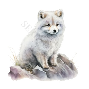 Arctic Fox Clipart - 12 PNG's van hoge kwaliteit, Memory Book, Junk Journals, Plakboeken, Digitale Planners, Commercieel Gebruik, Digitale Download afbeelding 5