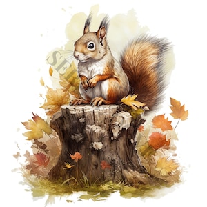 Clipart écureuil automne - 12 PNG de haute qualité, agenda numérique, journal indésirable, scrapbooking, livre de souvenirs, usage commercial, téléchargement numérique