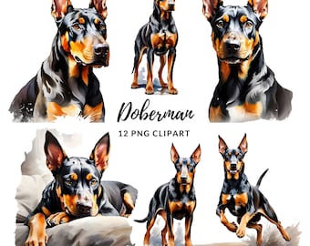 Doberman Clipart - 12 High Quality PNGs, Digital Download, Card Making, Clip Art, Digital Paper Craft