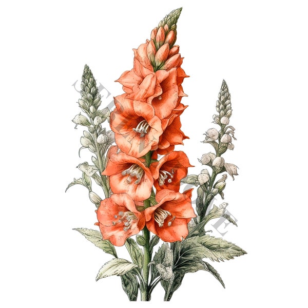 Foxglove Clipart - 12 High Quality PNGs, Digital Planner, Junk Journal, Scrapbook, Memory Book, Commercial Use, Sublimation