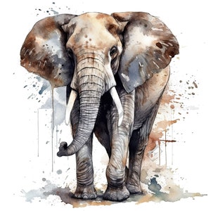 Elefante Clipart - 14 PNG de alta calidad, elaboración de papel digital, planificador digital, ropa, acuarela, descarga digital