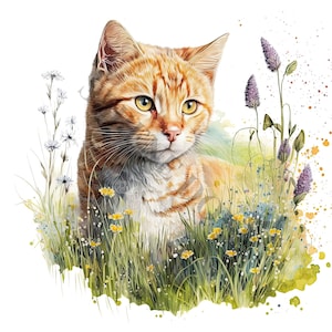 May include: A ginger cat with green eyes sits in a field of wildflowers. The cat is looking directly at the viewer. The flowers are in shades of purple, pink, and white.