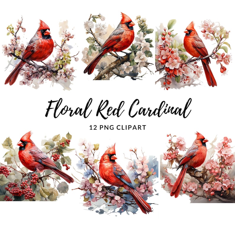 Floral Red Cardinal Clipart - 12 High Quality Pngs, Memory Book, Junk ...