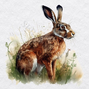 Hare Clipart - 12 High Quality PNGs, Memory Book, Junk Journals, Scrapbooks, Digital Planners, Commercial Use, Digital Download