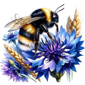 Bumblebee On Flower Set 2 Clipart - 17 High Quality PNGs, Memory Book, Junk Journals, Scrapbooks, Digital, Commercial Use, Sublimation