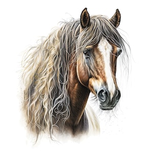 Ensemble cheval 2 Clipart - 12 PNG de haute qualité, création numérique sur papier, agenda numérique, vêtements, aquarelle, téléchargement numérique, sublimation