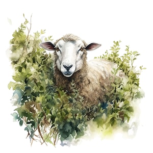 Hedgerow Sheep Clipart - 12 High Quality PNGs, Digital Download, Card Making, Clipart, Digital Paper Craft, Junk Journal
