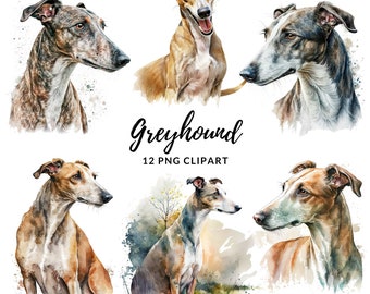 May include: A digital illustration of a Greyhound dog in various poses. The dog is depicted in a watercolor style with shades of brown, black, and white. The image includes the text "Greyhound 12 PNG CLIPART".