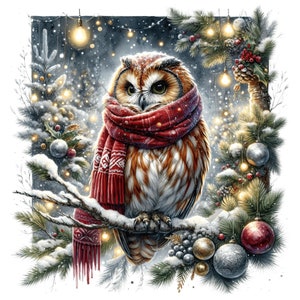Weihnachtseule Clipart - 13 hochwertige PNGs, Erinnerungsbuch, Junk Journals, Sammelalben, digitale Planer, kommerzielle Nutzung, Sublimation