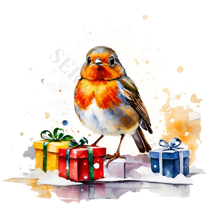 Christmas Robin Clipart - 12 High Quality Pngs, Digital Paper Crafting ...