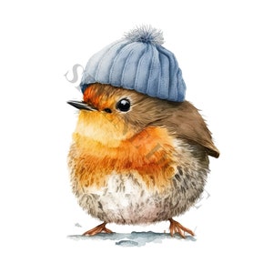 Bobble Hat Robin Clipart - 12 PNG de haute qualité, Planificateur numérique, Junk Journal, Scrapbook, Memory Book, Utilisation commerciale, Sublimation