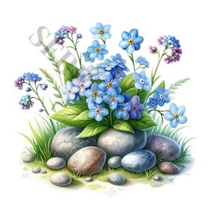 Clipart Forget Me Not - 12 PNG de haute qualité, livre de souvenirs, journaux indésirables, albums de coupures, agendas numériques, usage commercial, sublimation