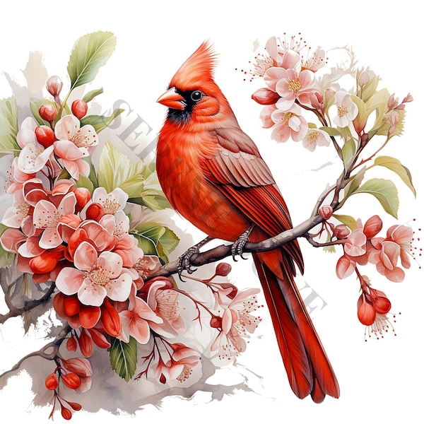 Floral Red Cardinal Clipart - 12 High Quality PNGs, Memory Book, Junk Journals, Scrapbooks, Digital Planners, Commercial Use, Digital