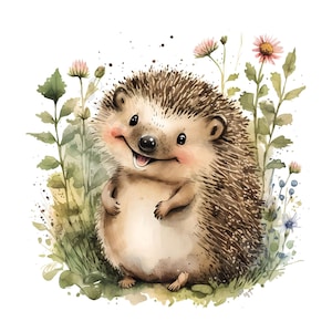 Clipart di riccio felice - 12 PNG ad acquerello di alta qualità, download digitale, creazione di biglietti, tecniche miste, artigianato digitale con carta