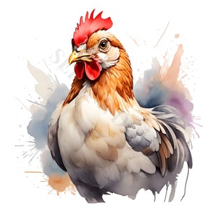 Imágenes Prediseñadas de pollo - 10 PNG de alta calidad, descarga digital, creación de tarjetas, medios mixtos, artesanía de papel digital
