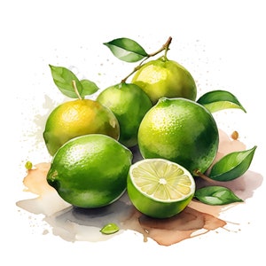 May include: A watercolor painting of limes and lemons. The limes are green and the lemons are yellow. The fruit is arranged in a cluster on a white background with brown watercolor splatters.