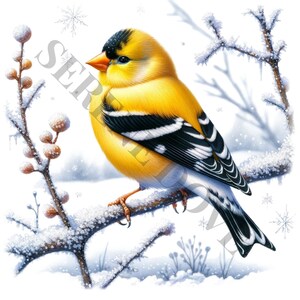 Winter Goldfinch Clipart - 12 High Quality PNGs, Memory Book, Junk Journals, Scrapbooks, Digital Planners, Commercial Use, Sublimation