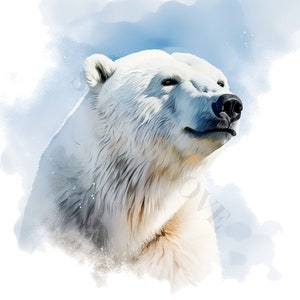 Polar Bear Clipart - 12 PNG de haute qualité, téléchargement numérique, fabrication de cartes, artisanat en papier numérique, techniques mixtes