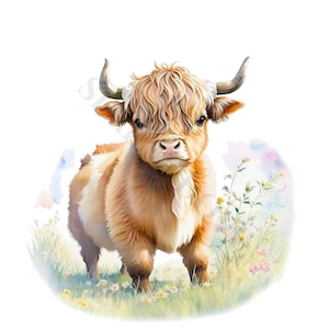 Highland Baby Cow Clipart - 12 High Quality PNGs, Digital Download, Card Making, Clipart, Digital Paper Craft