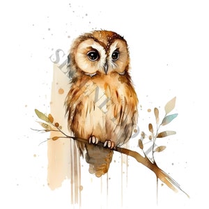 Owl Clipart - 12 High Quality PNGs, Digital Planner, Junk Journal, Scrapbook, Memory Book, Commercial Use, Sublimation