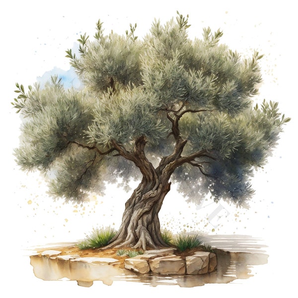 Olive Tree Clipart - 12 High Quality PNGs, Digital Download, Card Making, Clip Art, Digital Paper Craft