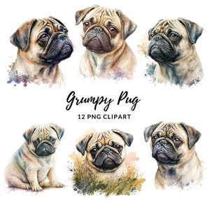 Grumpy Pug Clipart - 12 högkvalitativa PNG-bilder, minnesbok, skräpjournaler, klippböcker, digitala planerare, kommersiellt bruk, digital nedladdning