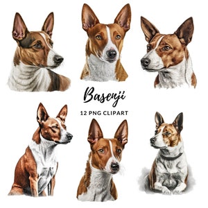 Basenji Hund Clipart - 12 hochwertige PNGs, digitales Papier Handwerk, digitaler Planer, Bekleidung, Aquarell, digitaler Download