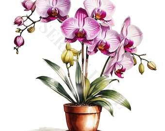 Potted Pink Orchids Clipart - 12 High Quality PNGs, Digital Download, Card Making, Clipart, Digital Paper Craft, Junk Journal