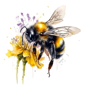 Bumblebee Clipart - 12 High Quality PNGs, Memory Book, Junk Journals, Scrapbooks, Digital Planners, Commercial Use, Digital Download