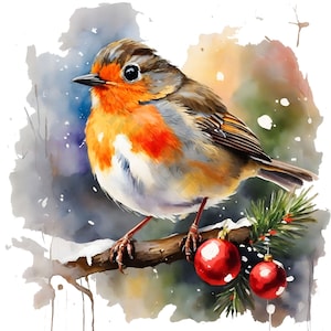 Clipart Noël rouge-gorge - 12 PNG de haute qualité, création de papier numérique, agenda numérique, aquarelle, usage Commercial - téléchargement numérique