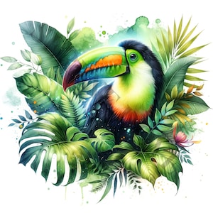 Clipart de tucano - 12 PNGs de alta qualidade, livro de memórias, diários indesejados, álbuns de recortes, planejadores digitais, uso comercial, sublimação