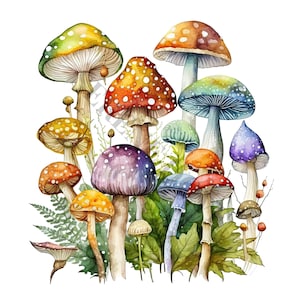 Magical Mushrooms Clipart - 13 High Quality PNGs, Digital Paper Crafting, Digital Planner, Apparel, Watercolor, Digital Download